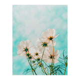 Fiona (Print Only) thumbnail