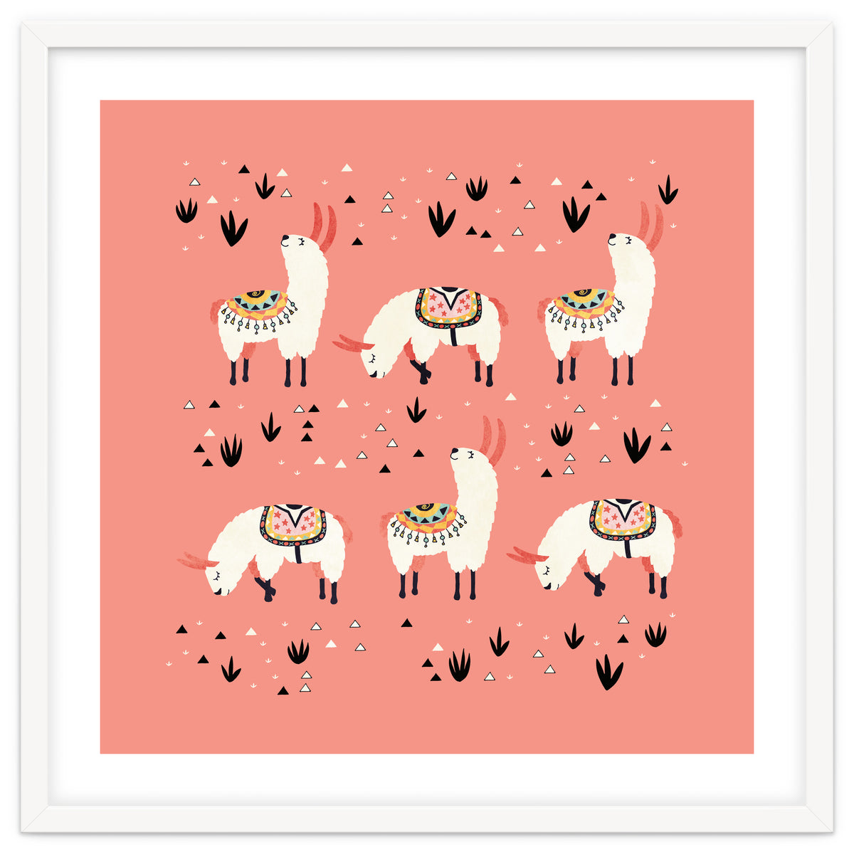 White Llamas In Pink Desert