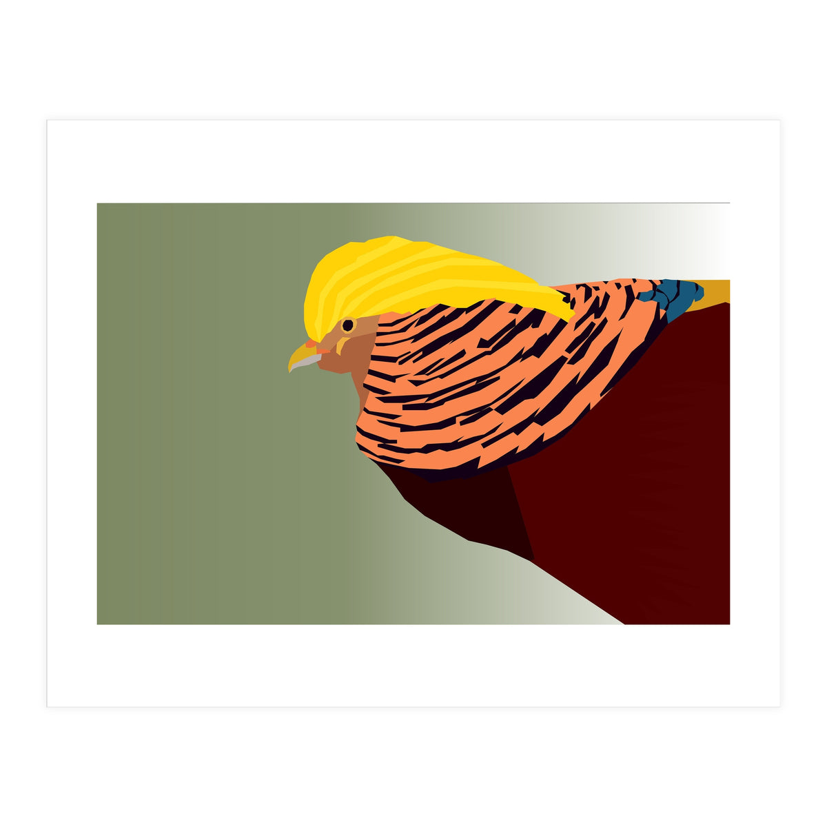 Golden Pheasant Bird Art (Print Only)