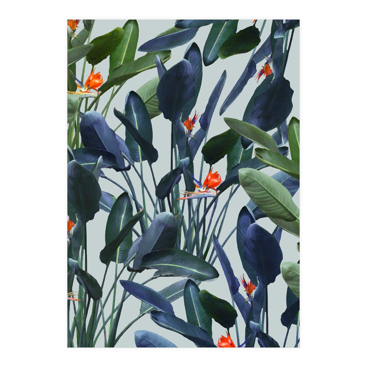 Optical Zen (Print Only)