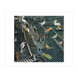 Bird Town (Print Only) thumbnail