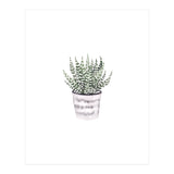 Potted Plant (Print Only) thumbnail