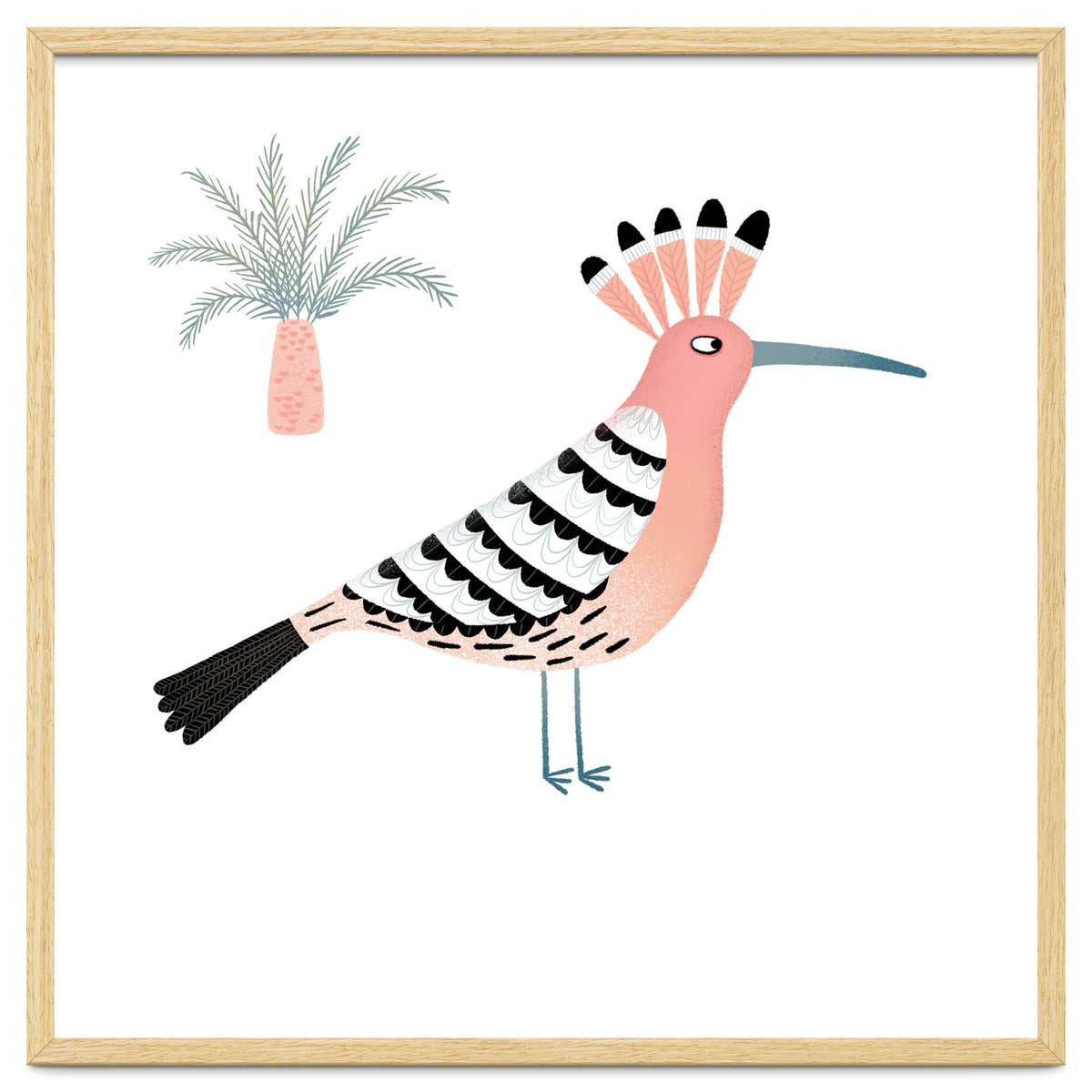 Hoopoe