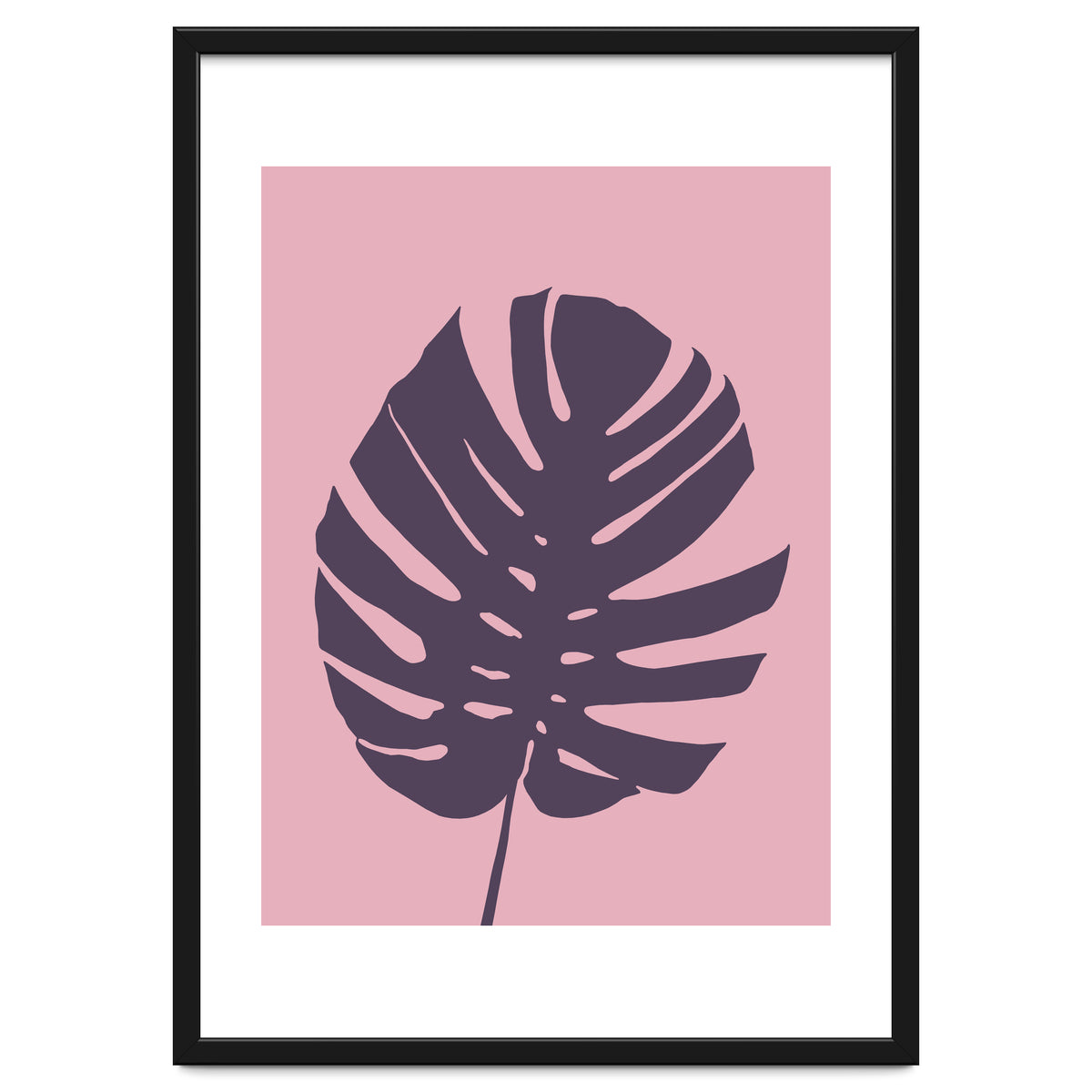 Monstera Deliciosa III