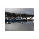 Fleet (Print Only) thumbnail