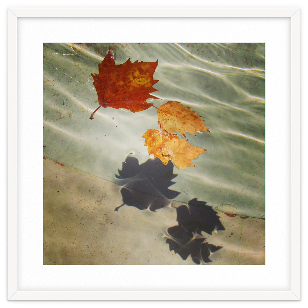 Floating leaves