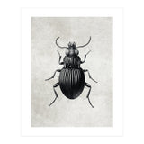 84 (Print Only) thumbnail