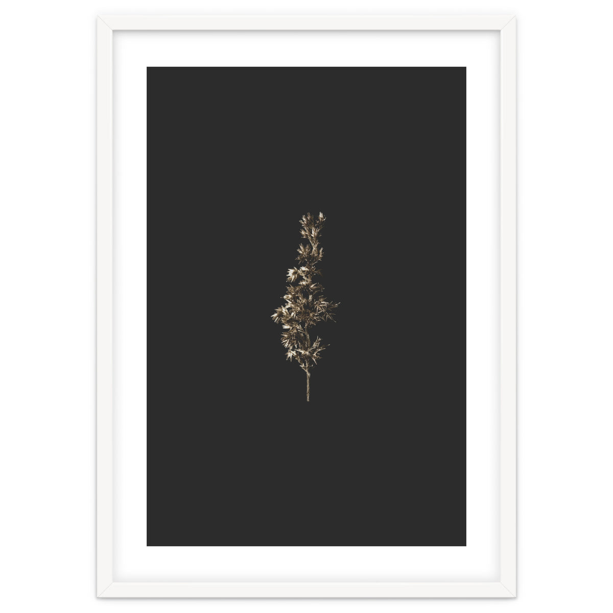 Gold Rush Botanicals