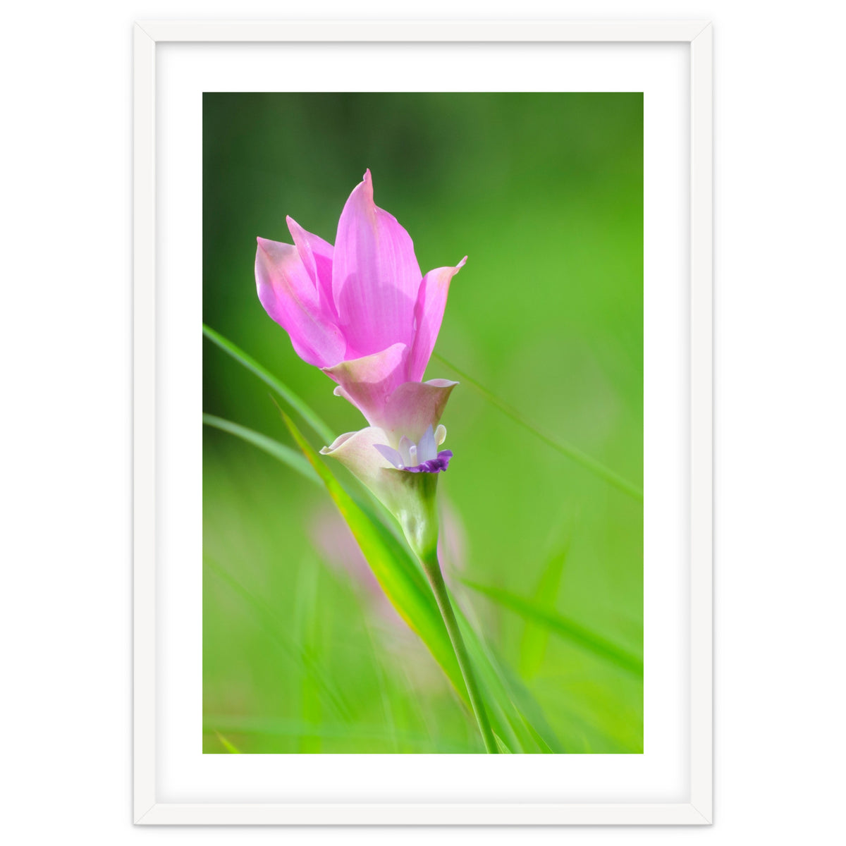 Nature 4000x6000 (12)