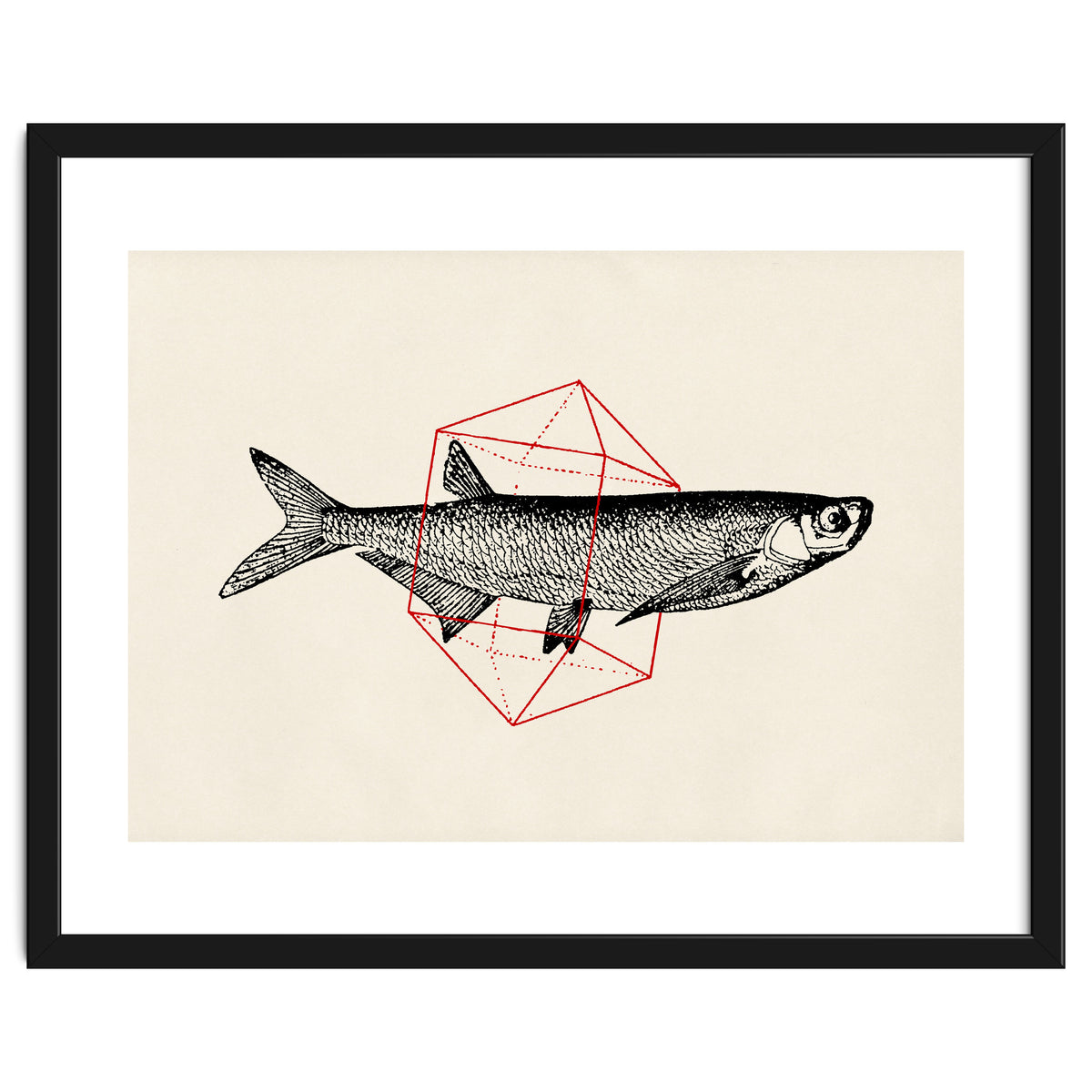 Fish In Geometrics II