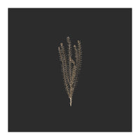 Delicate Fynbos Botanicals in Gold and Black - Square (Print Only)