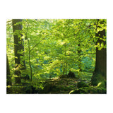 Spring Forrest (Print Only) thumbnail