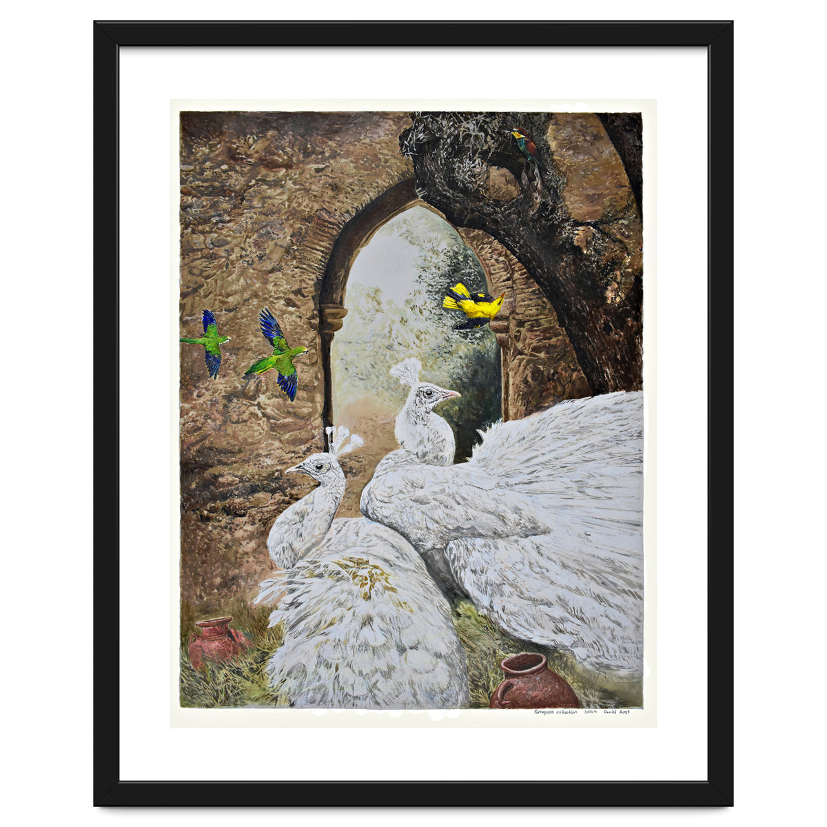 Portuguese Collection