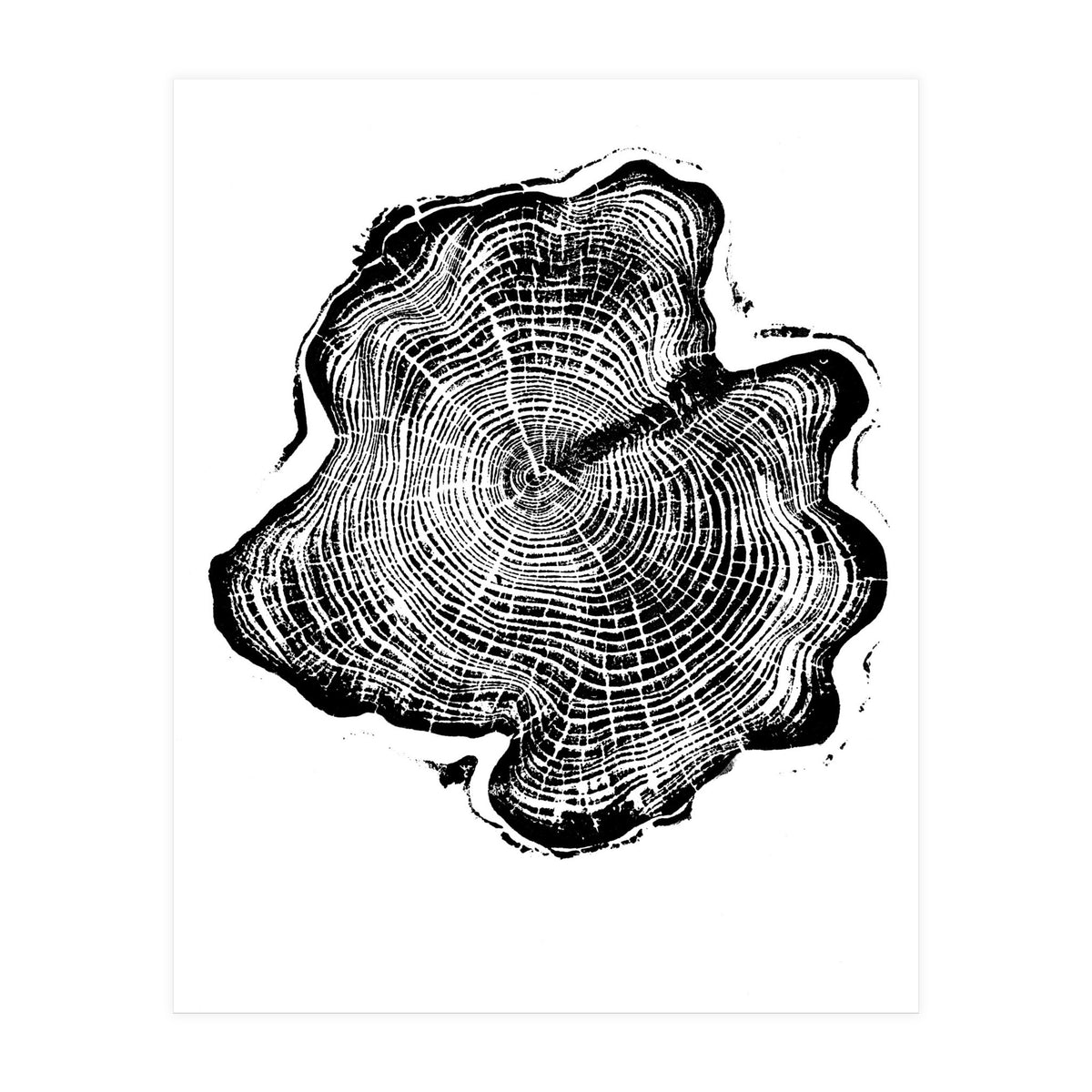 Alaskan Cypress, Tree Ring Art Print, Woodblock (Print Only)