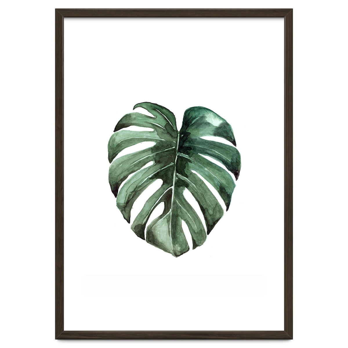 Botanical Illustration Monstera Deliciosa