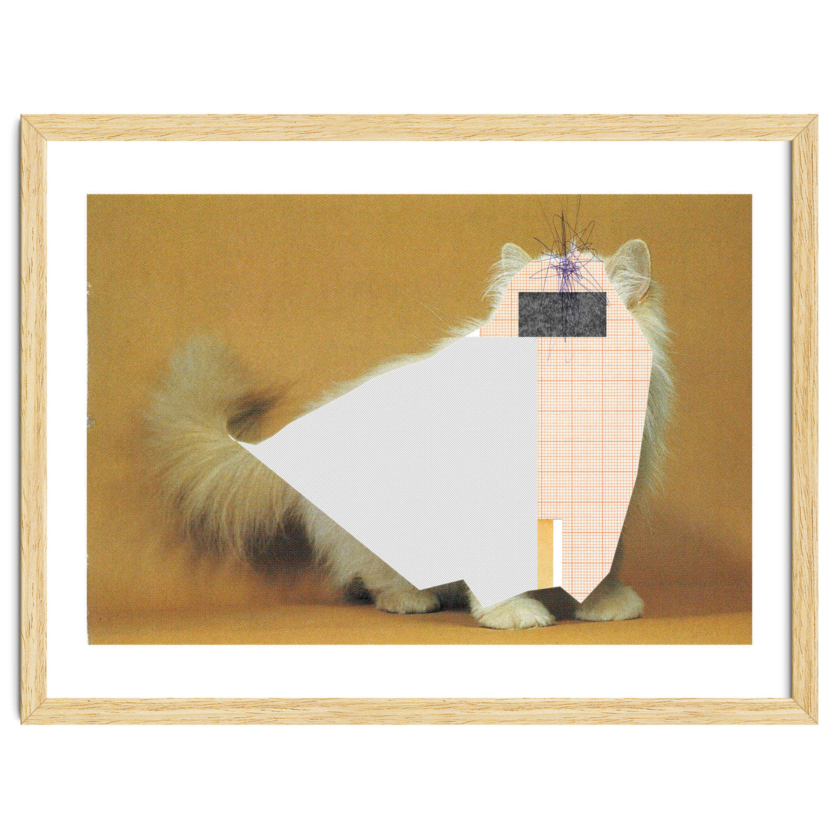 Content Of The Cat 1