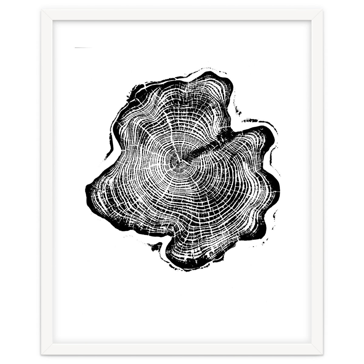 Alaskan Cypress, Tree Ring Art Print, Woodblock