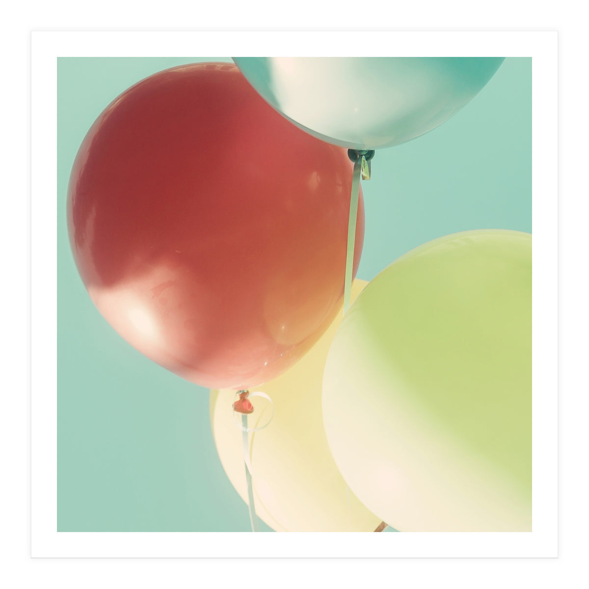 So Much Fun (Print Only)