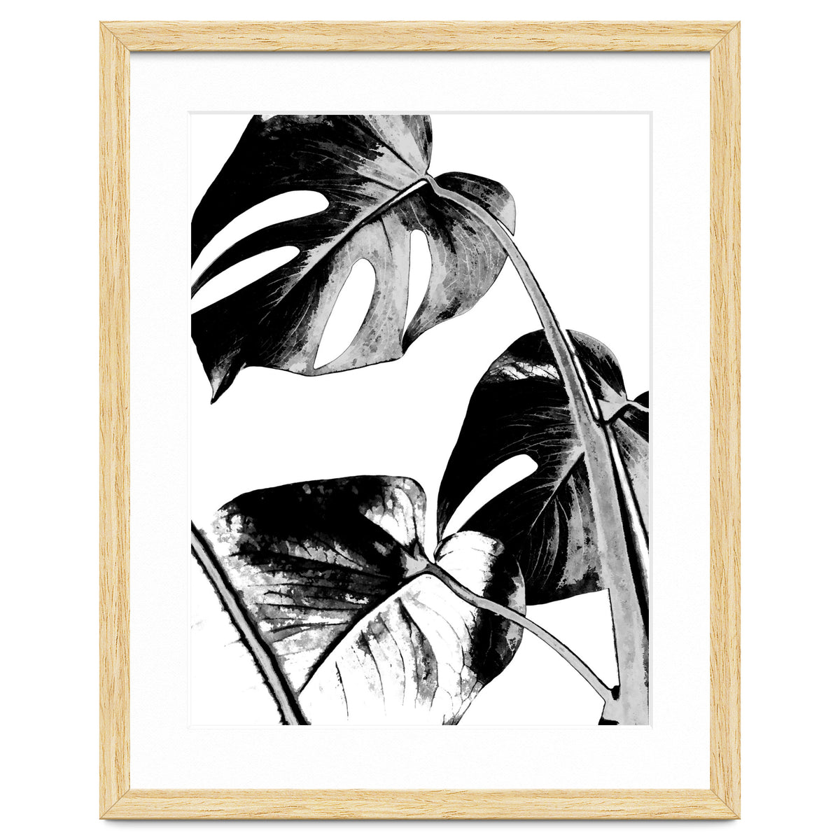 Black Tropical Leaves