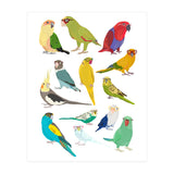 Parrotts in Glasses (Print Only) thumbnail