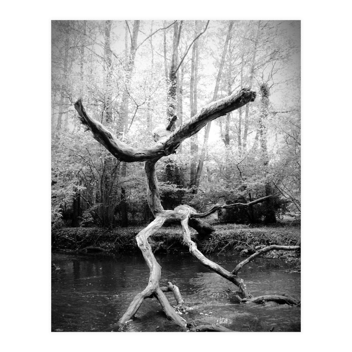 the negotiator (Print Only)