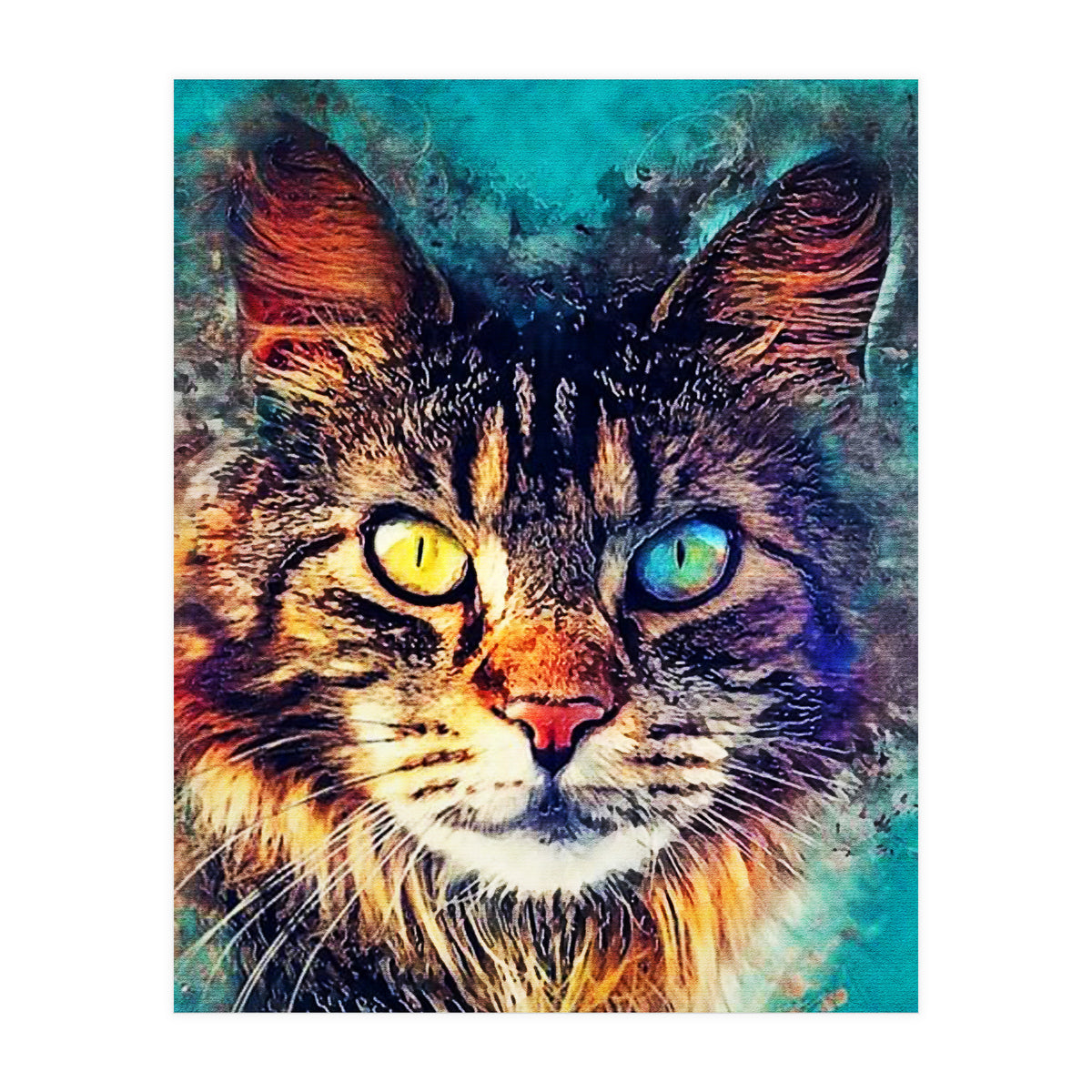 Cat (Print Only)