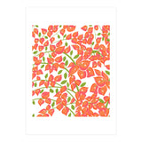 Bougainvillea Blush (Print Only) thumbnail