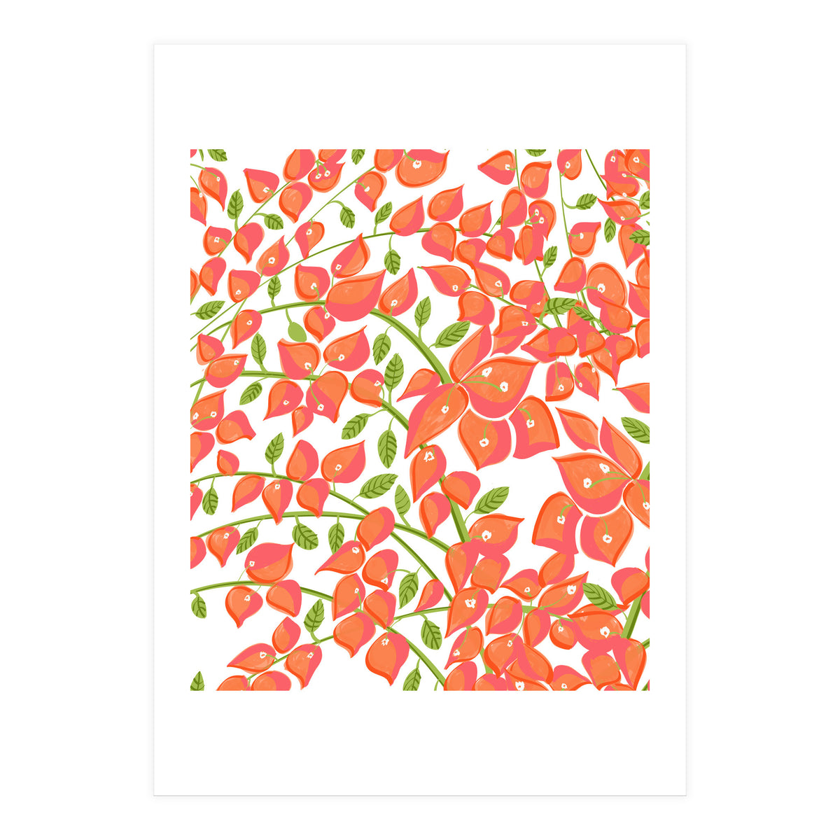 Bougainvillea Blush (Print Only)