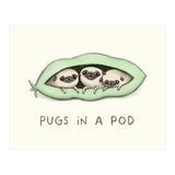 Pugs In A Pod (Print Only) thumbnail