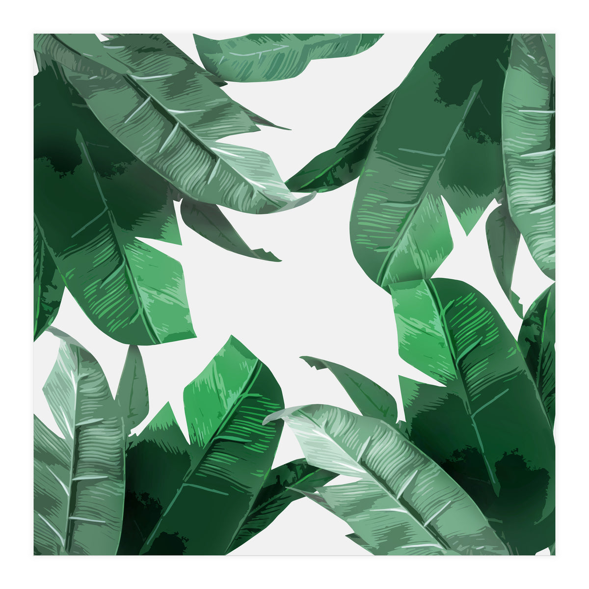 Tropical Palm Print (Print Only)