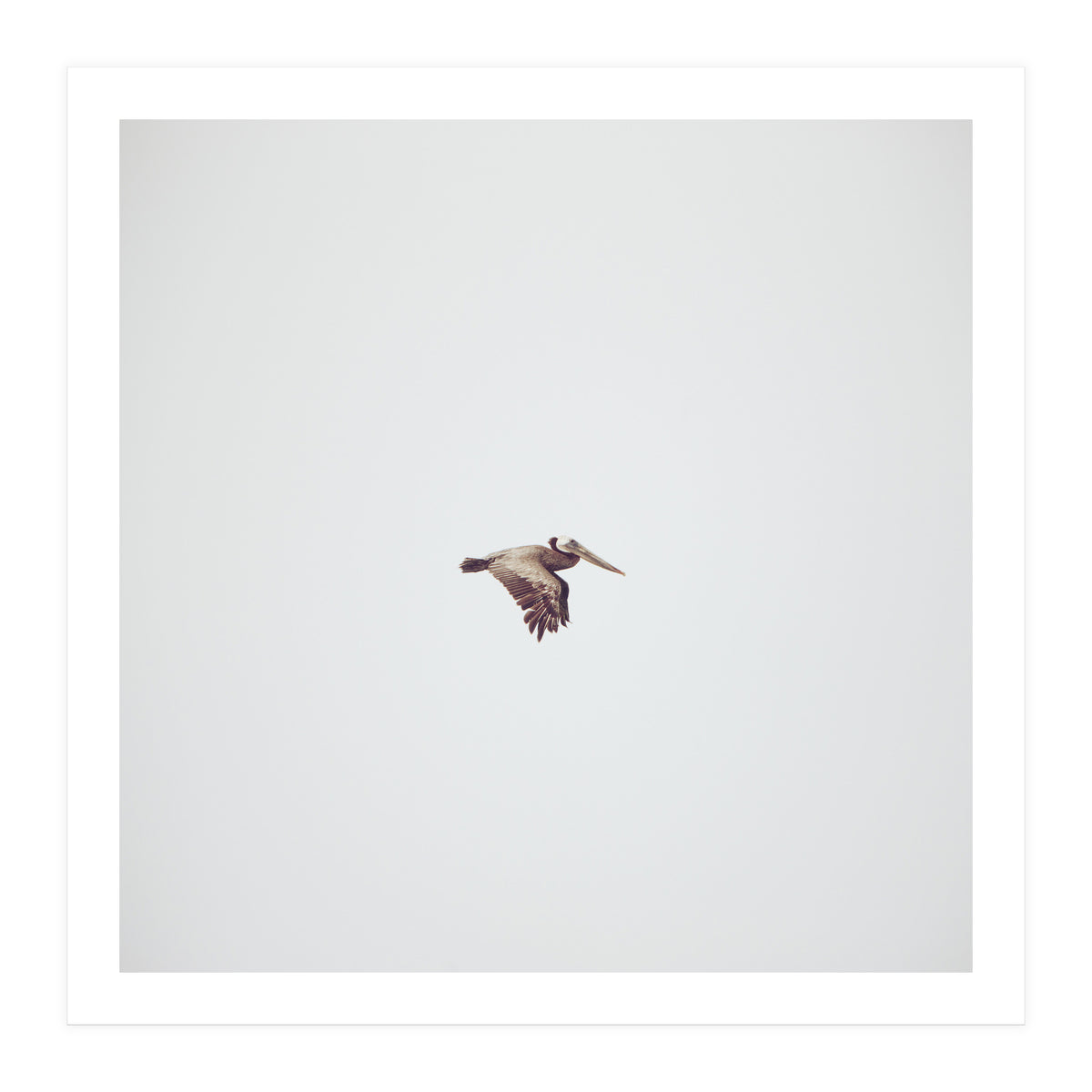 Solo Flight (Print Only)