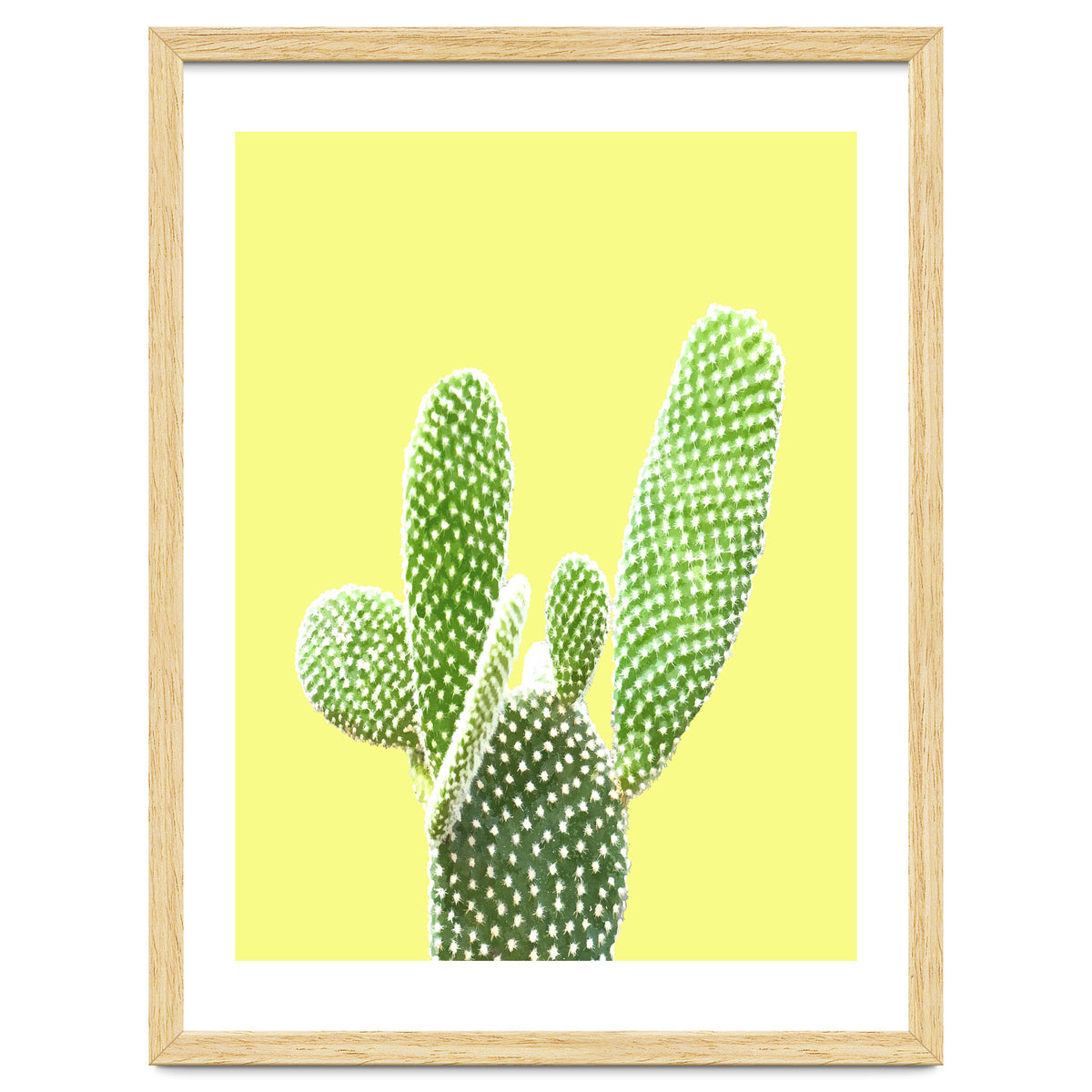 Cactus Yellow Background