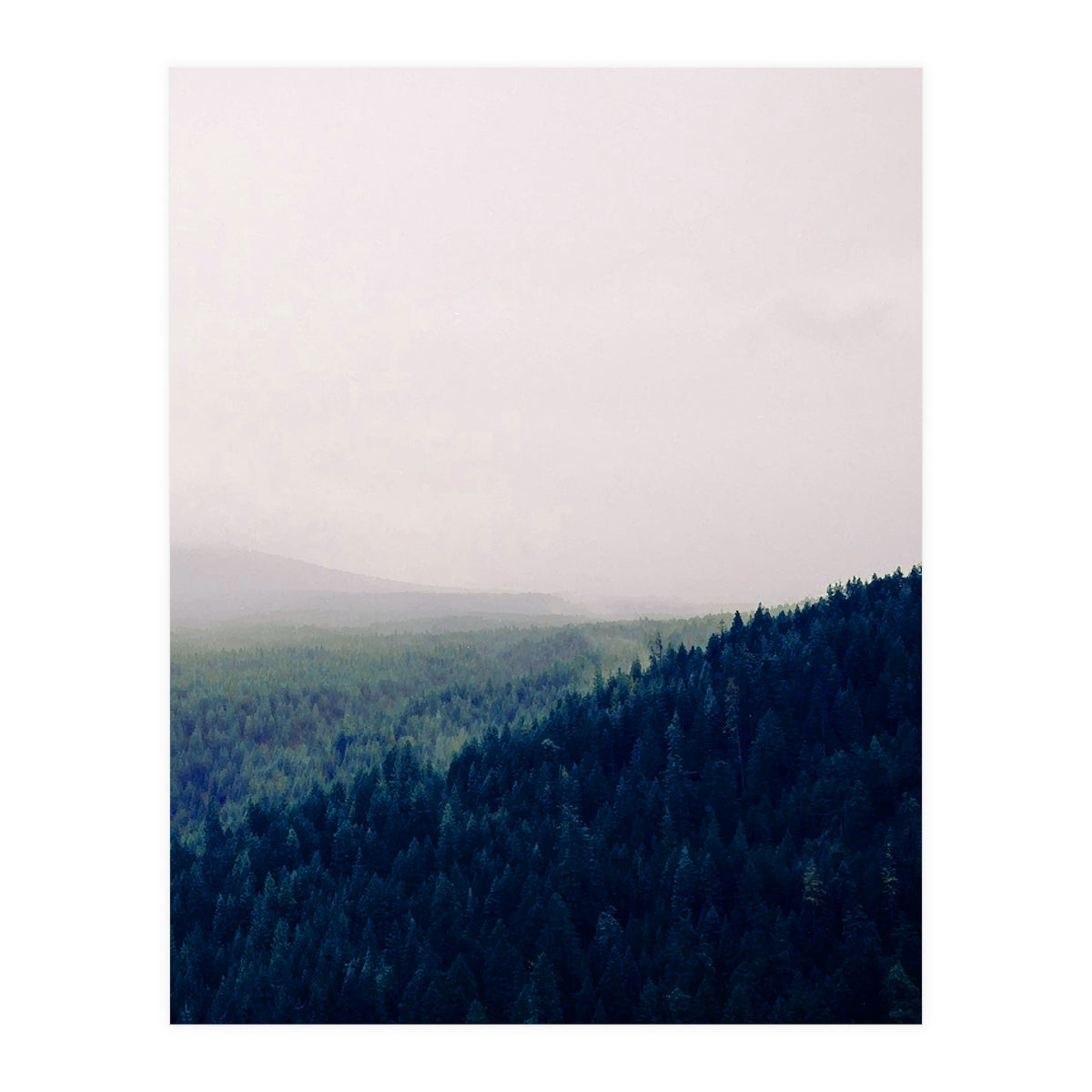 Priceless Treasure (Print Only)