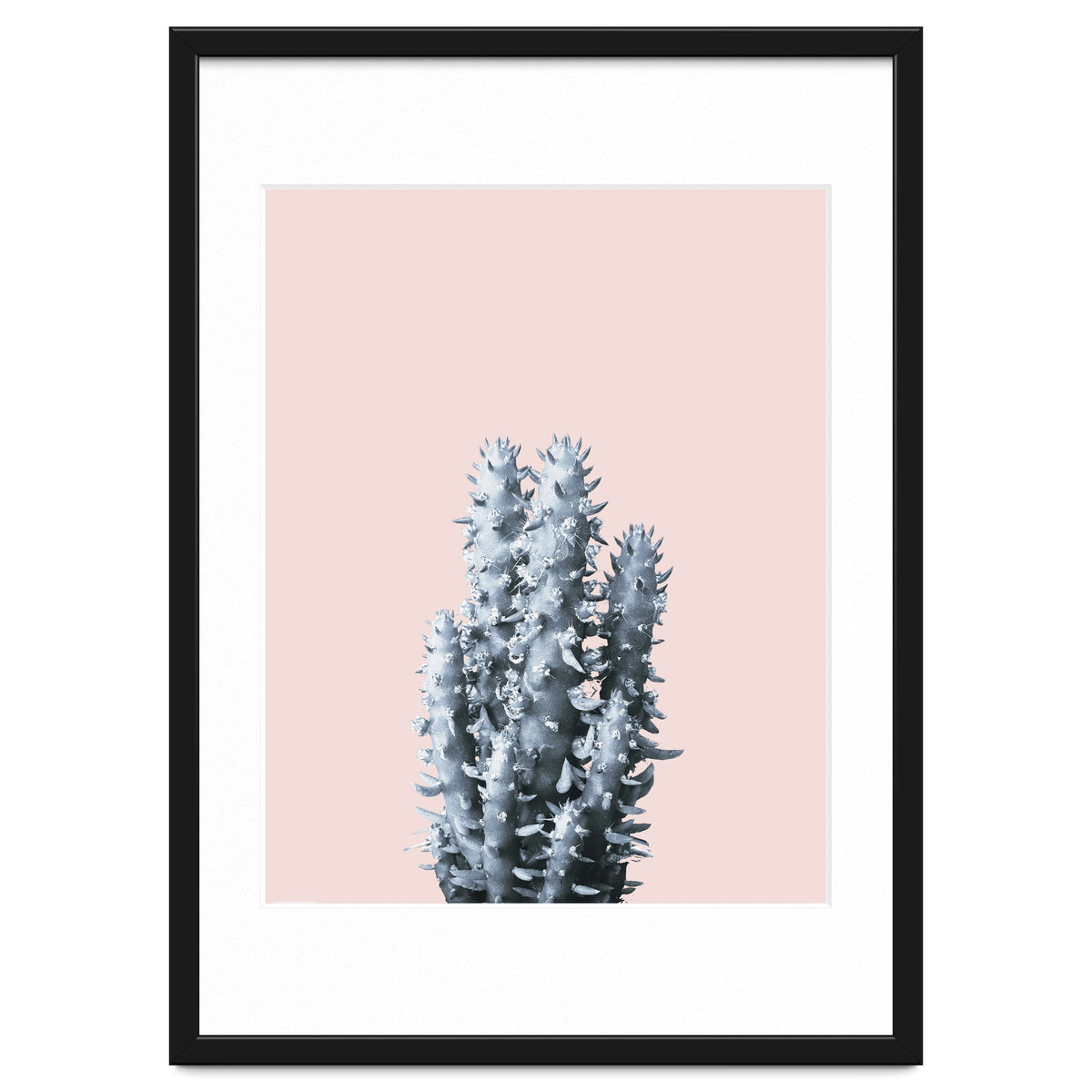 Cactus collection BL-III