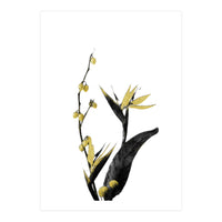 Flower Minimal Black And Gold 02 (Print Only)