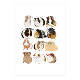 Guinea Pigs in Glasses (Print Only) thumbnail