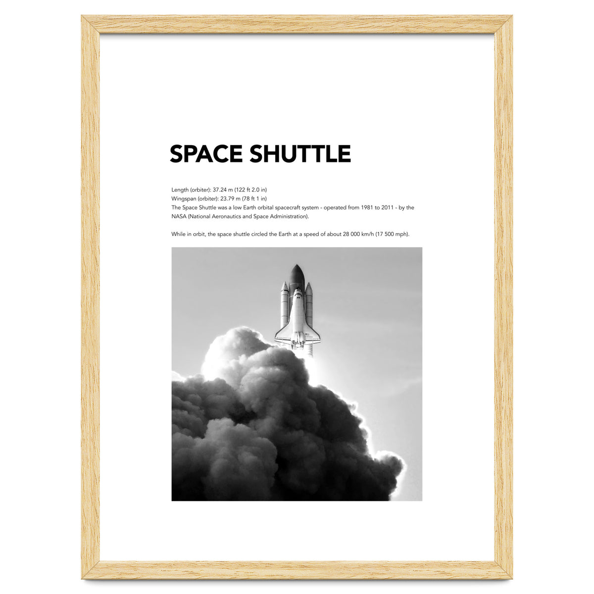 SPACE SHUTTLE