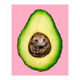 Hedgehocado (Print Only) thumbnail