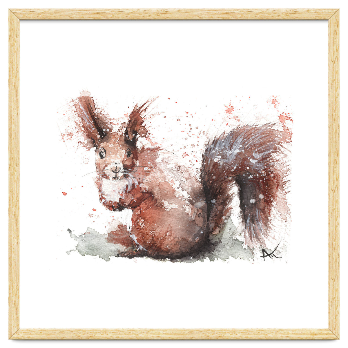 Squirrel - Wildlife Collection