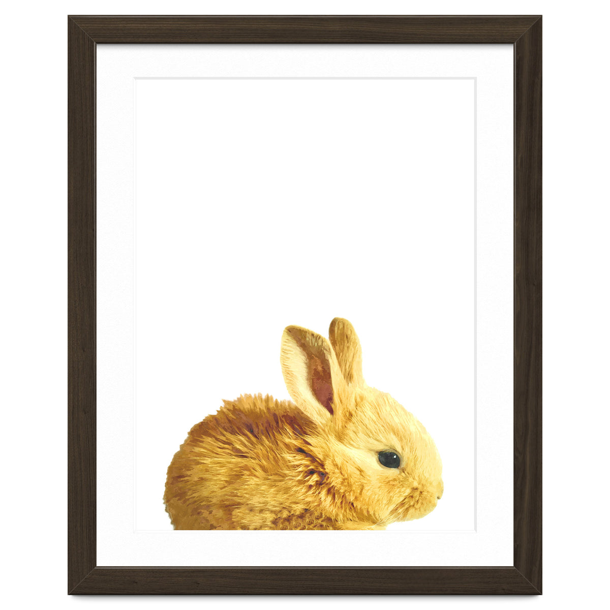 Bunny Portrait
