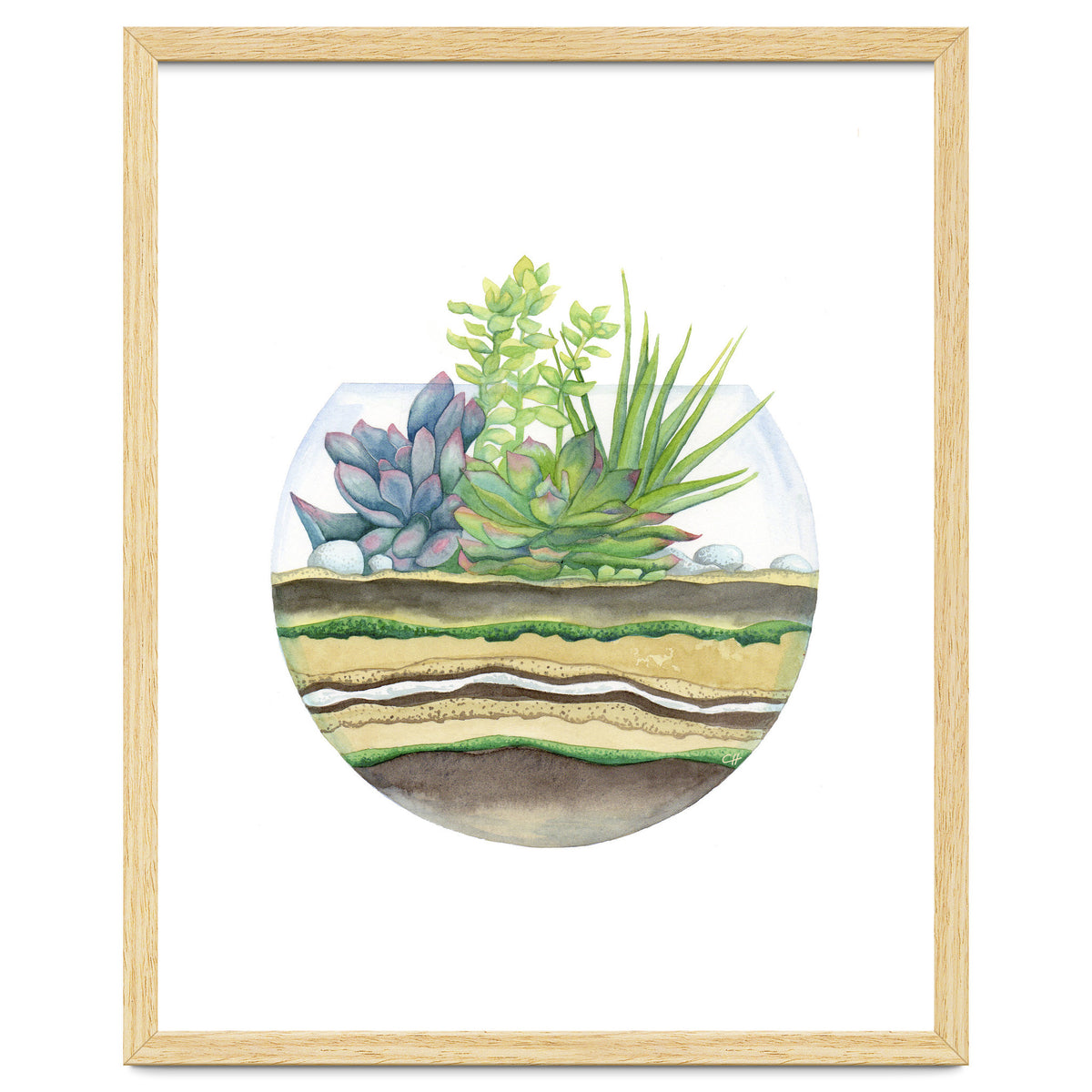 A Little Green Terrarium