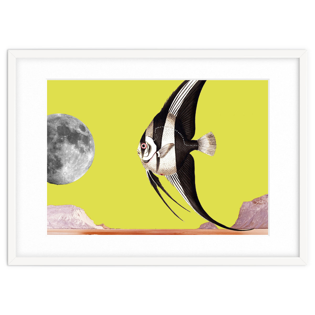 Plenty of fish in the sea yellow