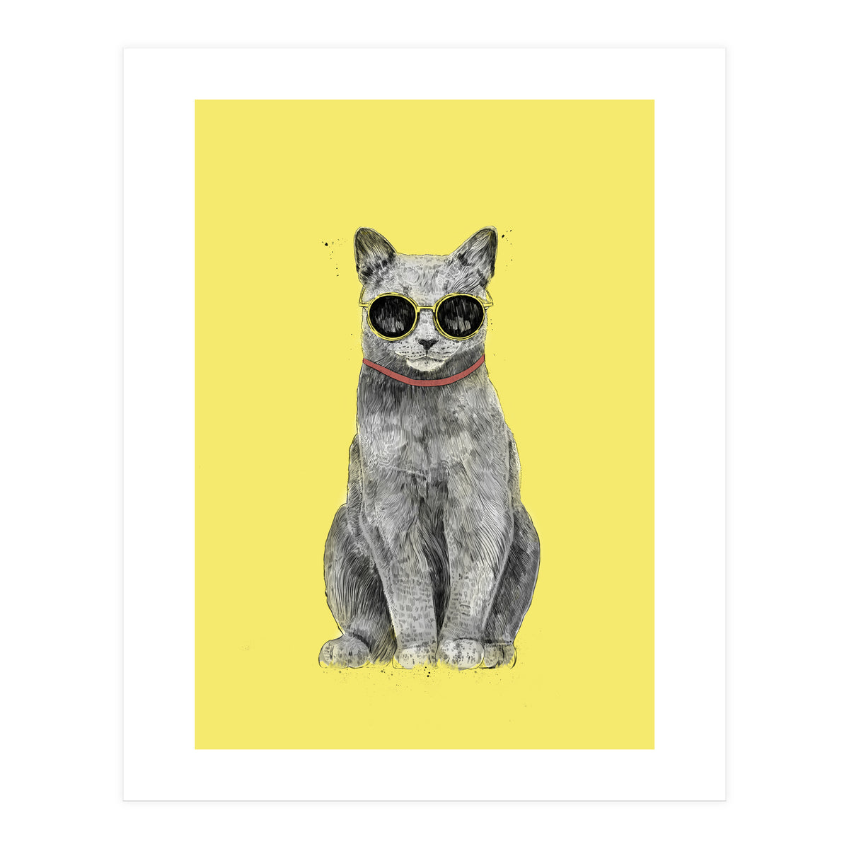 Summer Cat (Print Only)