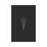 Delicate Fynbos Botanicals in Gold and Black (Print Only) thumbnail