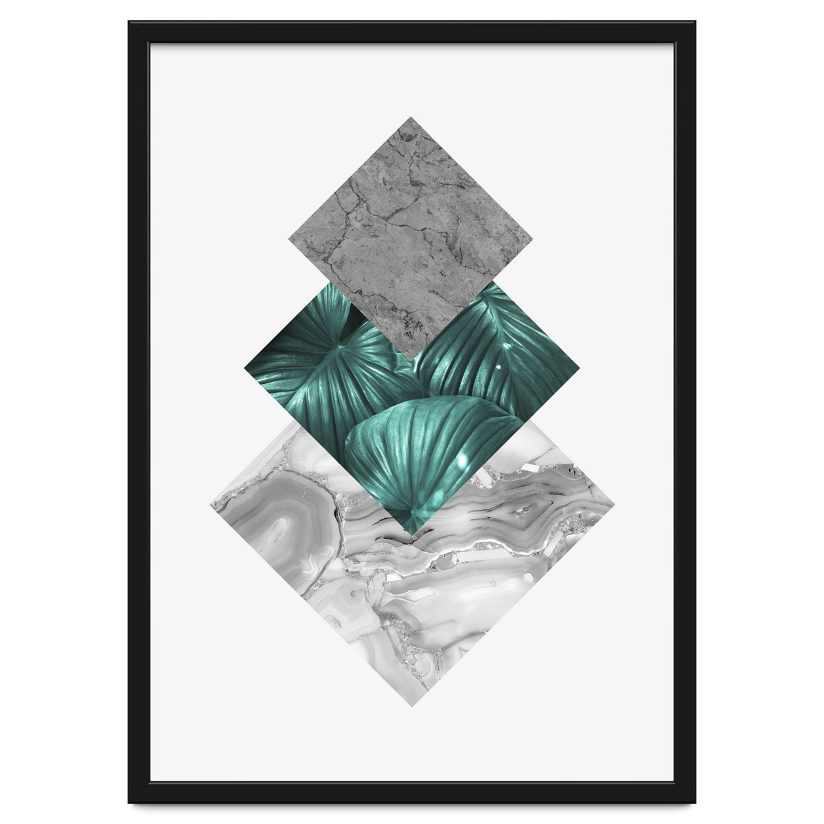 Botanical and geometric V