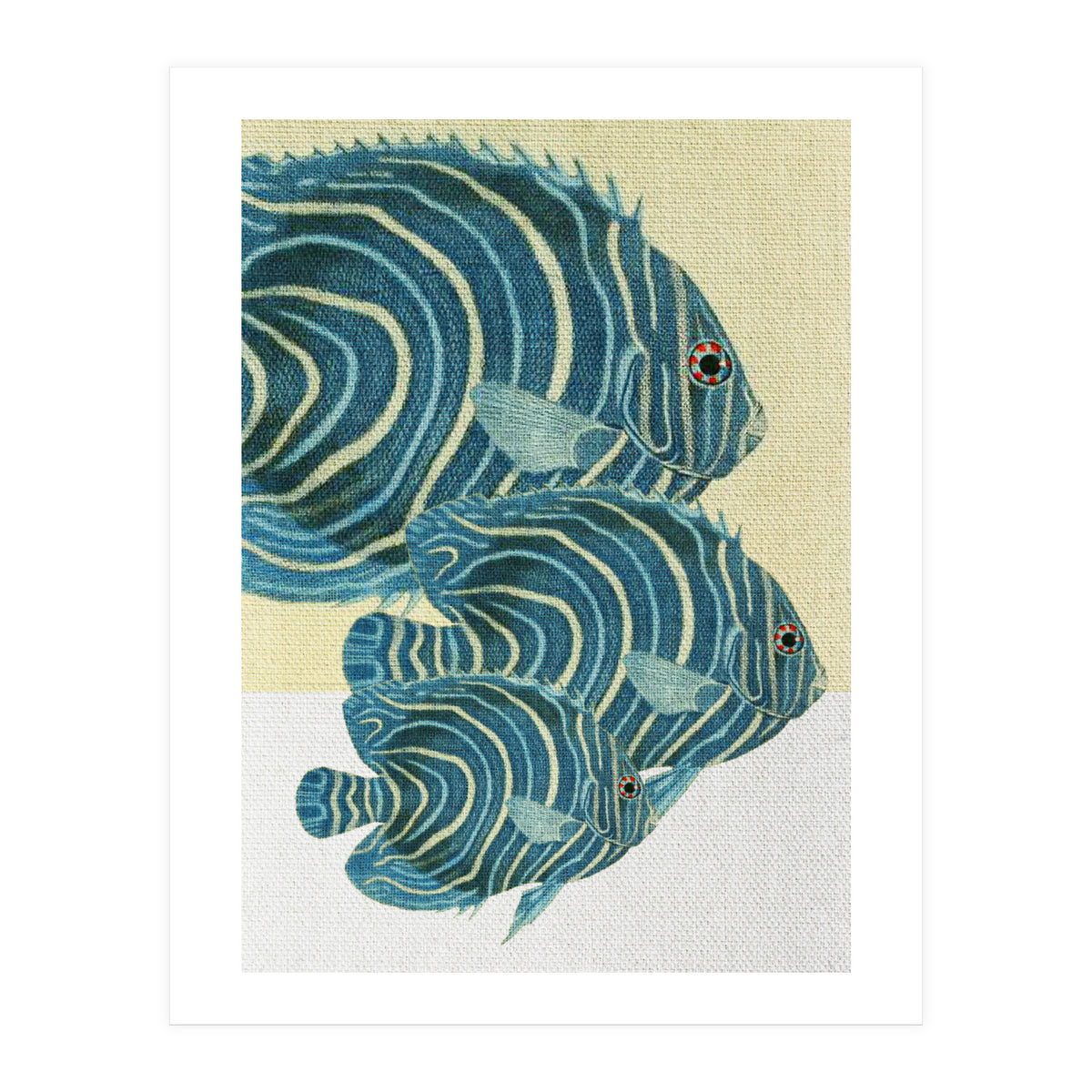 Fish Classic Designs 9 (Print Only)