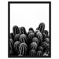 cactus nature X