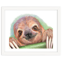 Smiling Sloth