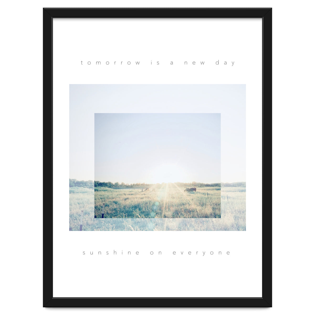 sunshine on everyone