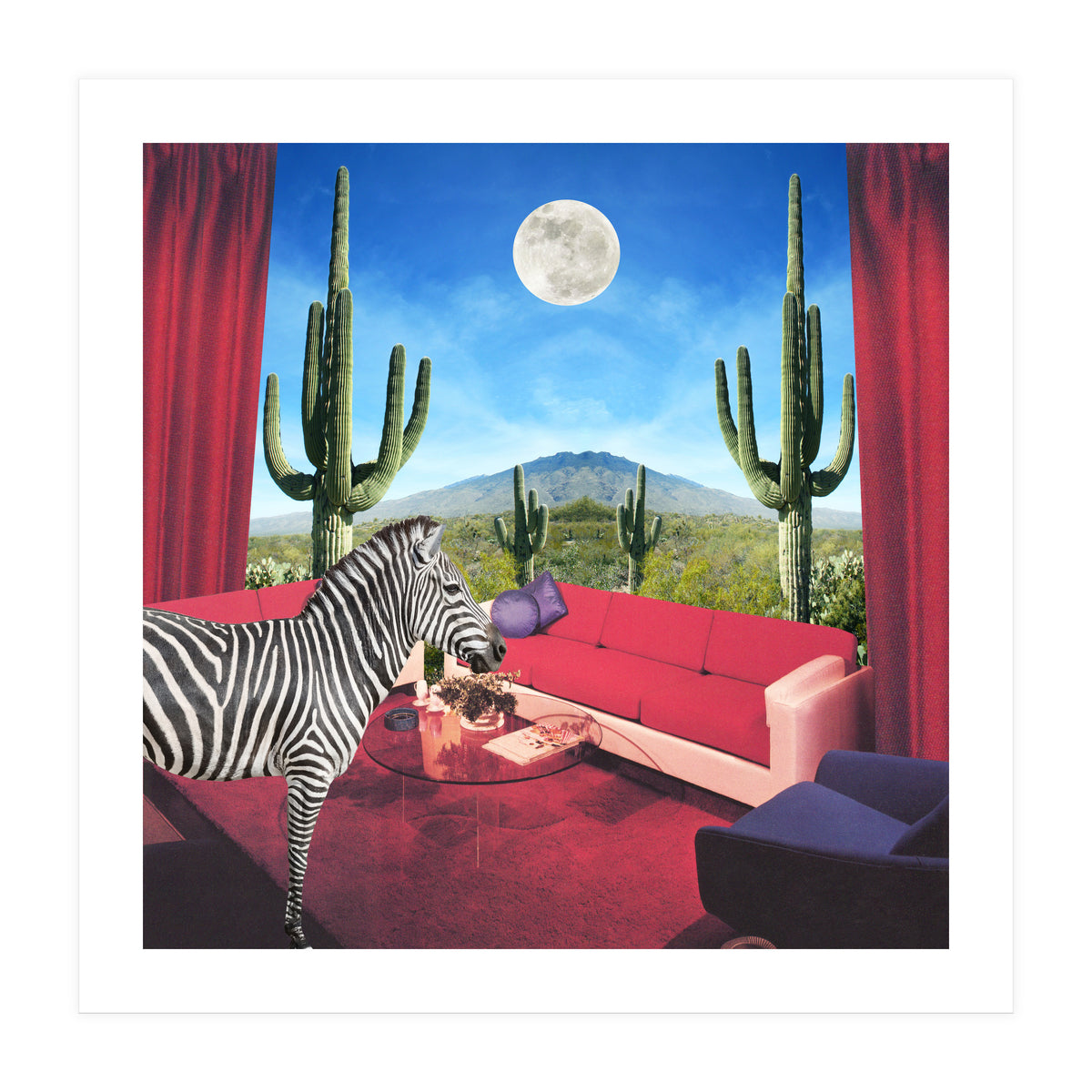 Saguaro Stripes (Print Only)